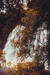 Waterfall in the forest of Sri Lanka