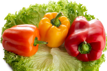 Lechuga con pimientos morrón sobre fondo blanco