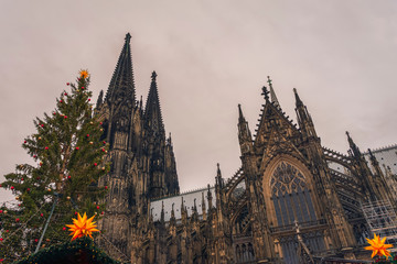 View of the famous Cologne Cathedral through decorated fir tree branches at a nearby Christmas...