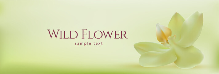 Realistic spa orchid. Horizontal panoramic background with paradise flower. Vector illustration.