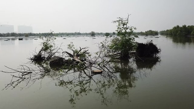 Moving at the water towards flooded trees with a polyfoam rubbish. Group of egrets bird fly at background.