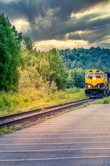 Train going on a railroad track to Denali National Park Alaska
