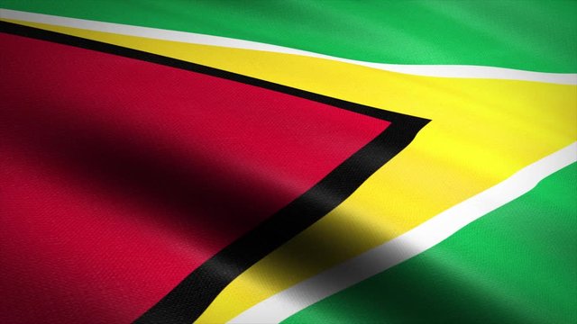 Flag of Guyana. Waving flag with highly detailed fabric texture seamless loopable video. Seamless loop with highly detailed fabric texture. Loop ready in HD resolution 1080p 60fps