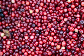 Frozen berries in grocery store shot close-up, blurred background.