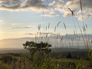 sunset with grass and blue sky