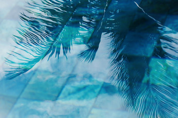Palm tree reflection in the swimming pool toned classic blue color of the year 2020