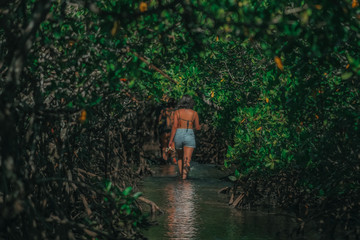 mangrove jeribucacu brasil