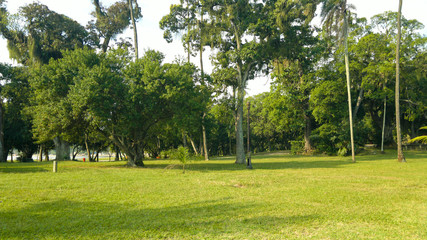 Ilha de Paquetá RJ Brasil