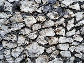 Background with stone. Wall texture can be used as a wall frame and wall background. Dirty and Old coral wall texture background.