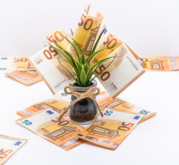 Euros cash notes as a money tree concept in a jar.