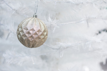 Xmas or Christmas bauble hanging at fir branch.