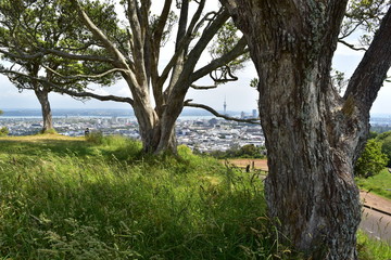 A different perspective on Auckland city centre