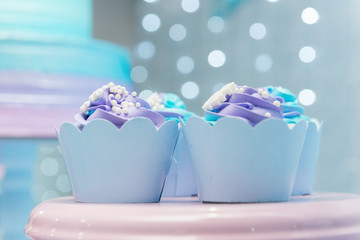 Set of tasty cupcakes with blue and purple cream icing on a pink tray on blue background and defocused lights. Selective focus. Pastel colors. Party concept. Children's party decoration.