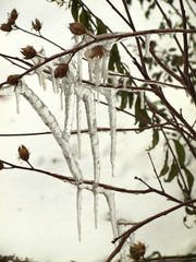 Ice Art After snow melted and refroze