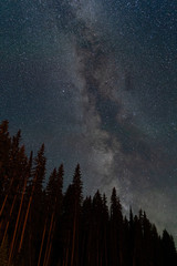 Crispy detailed night starry sky with stars and Milky Way above forest in Canada