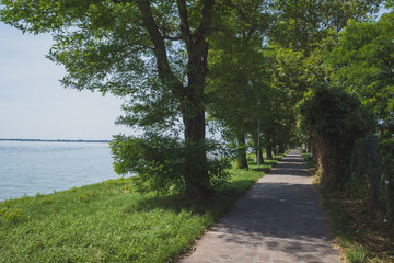 Path with trees on island of Mazzorbo, by Burano, Venice, Italy