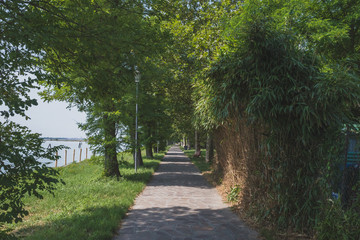 Path with trees on island of Mazzorbo, by Burano, Venice, Italy