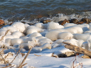 Scarborough Park in the winter