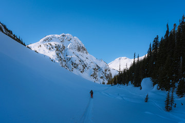 Backcountry ski touring in snow covered valley on sunny day in remote place in Canada - 307541562