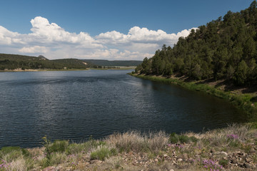 Fototapeta na wymiar Southwestern shore of Quemado Lake, New Mexico.
