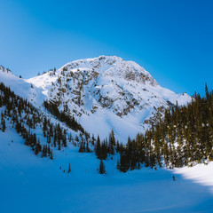 Backcountry ski touring in snow covered valley on sunny day in remote place in Canada - 307541774