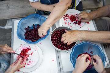 Four pairs of hands at the table taking out bones from cherry in to blue bowls. Many generations of...