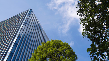 Fototapeta na wymiar ガラスの高層ビルと青空と白い雲と緑の木
