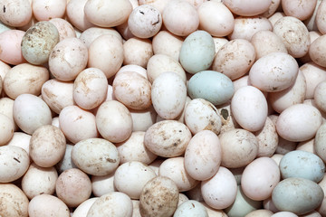A pile of duck eggs.