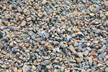 Stone pathway in the garden