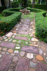 Stone pathway in the garden