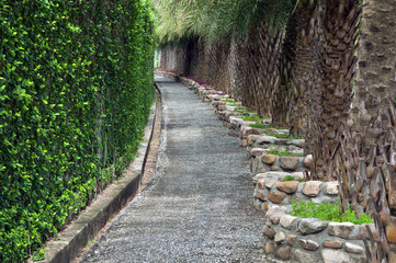 Stone pathway in the garden