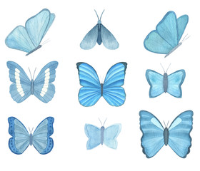 Watercolor blue butterfly collection isolated on white background. Set of tropical butterfly for design cards, invitations, children’s wear. Butterfly art poster. Realistic style.