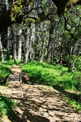 Cataract Trail, Marin County