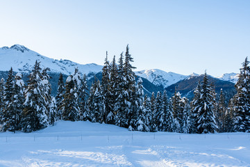 Winter view on mountains and forest in snow from Olympic village in Wistler, BC.