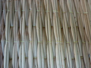 Flower with natural background