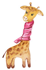 watercolor cute giraffe in a pink scarf. child character congratulation greeting card Valentine, happy birthday.