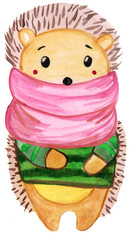 watercolor cute hedgehog with a big pink scarf. hedgehog in love, holiday greetings. cute character for cards and posters.