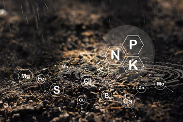 Loam that is rich in minerals for cultivation.