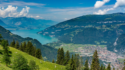 Switzerland, Panoramic view on green Alps and lake Tun from Schynige Platte