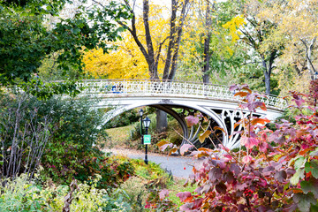 Central Park fall landscape scene with an old bridge surrounded by colorful trees in Manhattan New York City