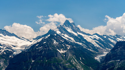 Fototapeta na wymiar Switzerland, Panoramic view on green Alps and Fronalpstock from Schynige Platte