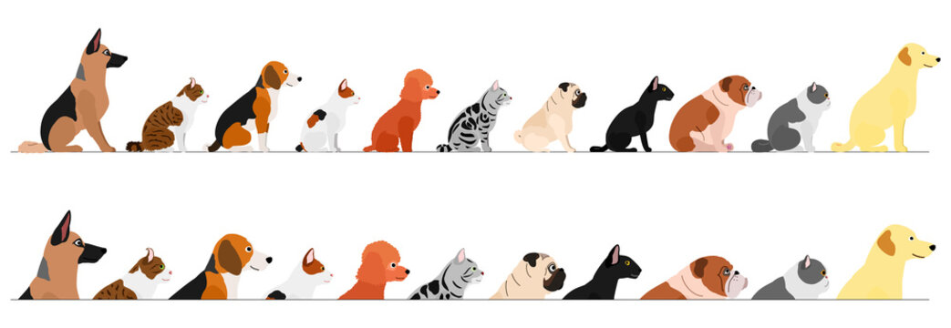 set of  side view  dogs and cats border