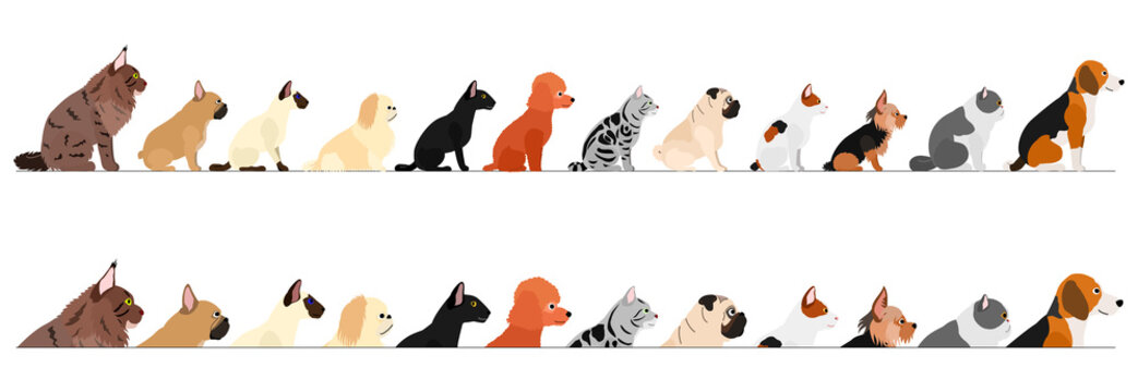 set of  side view small dogs and cats border