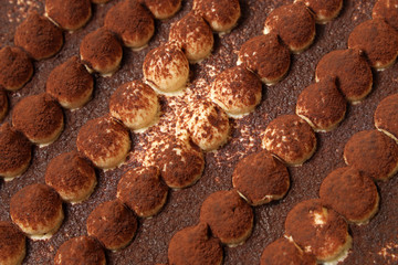 Tiramisu cake close-up. Festive background.