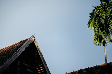 Eaves with birds on the roof and a sky background