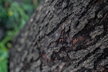  texture 