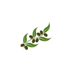 Olive logo template vector icon