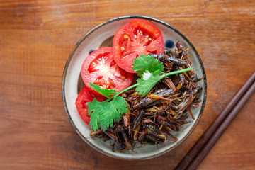 Fried Crickets, Insect food with Vegetables, Tomato in the bowls. Top view. Selective focus.