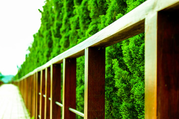 Fototapeta premium Road, sidewalk, only sidewalk