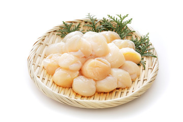 ほたて　scallops